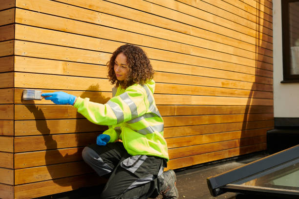 Professional Siding in Hollis, OK
